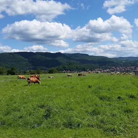 Poolhaus Im Suedharz