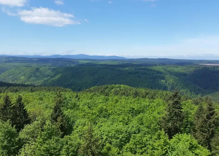 Poolhaus Im Suedharz Tatil Evi *