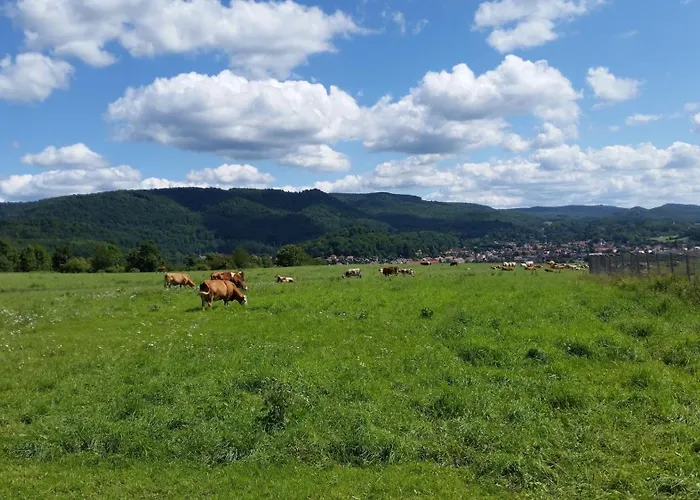 Poolhaus Im Suedharz