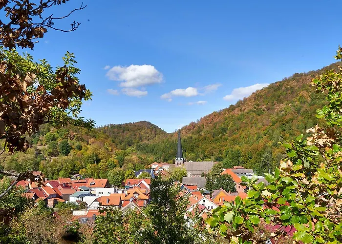 Poolhaus Im Suedharz Tatil Evi Harztor